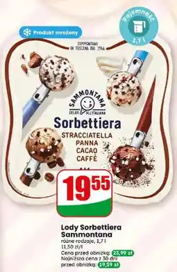 Dino Lody Sorbettiera Sammontana różne rodzaje oferta
