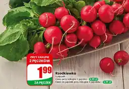 Dino Rzodkiewka oferta