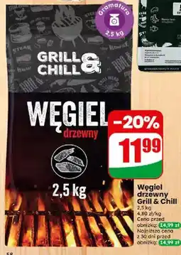 Dino Węgiel drzewny oferta