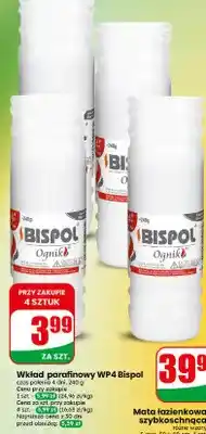 Dino Wkład parafinowy WP4 oferta