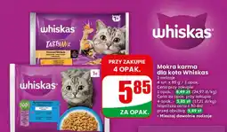 Dino Mokra karma dla kota oferta