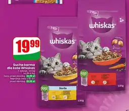 Dino Sucha karma dla kota oferta