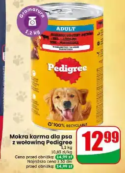 Dino Karma mokra dla psa z wołowiną oferta