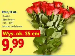 Lidl Róże, 11 szt oferta