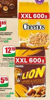 Dino Płatki Pacific oferta