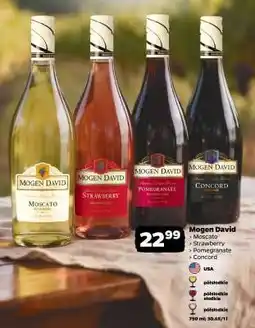 Netto MOGEN DAVID oferta