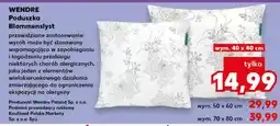 Kaufland WENDRE Poduszka Blommenslyst oferta