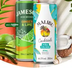 Żabka Koktajl Ginger Lime oferta