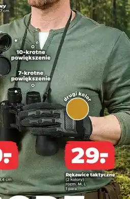 Netto Rękawice taktyczne oferta