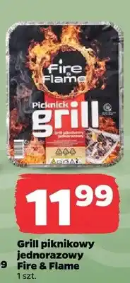 Netto Grill piknikowy jednorazowy Fire & Flame oferta