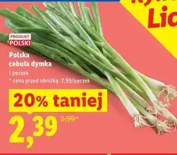 Lidl Cebula dymka oferta