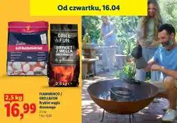 Lidl Brykiet węgla drzewnego oferta