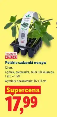 Lidl Sadzonki warzyw ogórek, pietruszka, seler lub kalarepę oferta