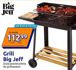Action Grill duża powierzchnia do grillowania oferta