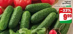 Dino Ogórek gruntowy 1 kg oferta