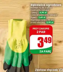 Dino Rękawice ogrodowe oferta