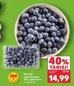 Kaufland Borówki amerykańskie 300 g opakowanie oferta