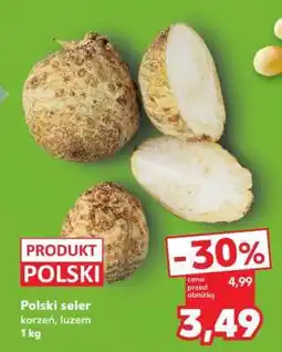 Kaufland Polski seler oferta