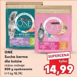 Kaufland ONE Sucha karma dla kotów oferta