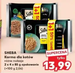 Kaufland SHEBA Karma dla kotów oferta