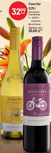 Żabka Cono Sur oferta