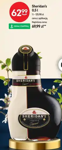 Żabka Sheridan's oferta