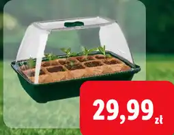 Lidl Mini szklarnia oferta