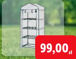 Lidl Szklarnia 4-półkowa oferta