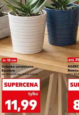 Kaufland Osłonka ceramiczna Escalera do storczyków, różne kolory oferta