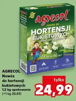 Kaufland Nawóz do hortensji bukietowych AGRECOL oferta