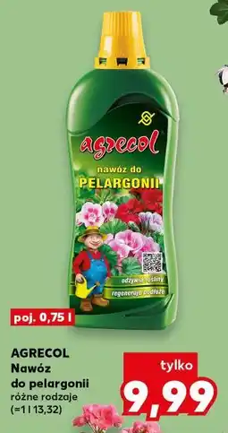 Kaufland Nawóz do pelargonii AGRECOL oferta