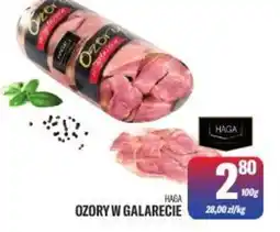 TomiMarkt Haga ozory w galarecie oferta