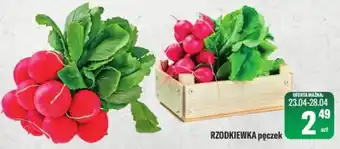 TomiMarkt Rzodkiewka oferta