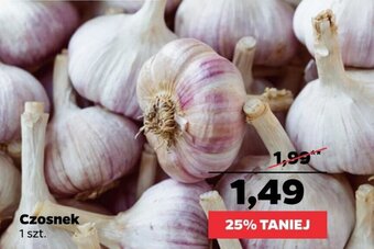 Netto Czosnek 1szt. oferta