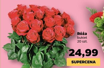 Netto Róża oferta