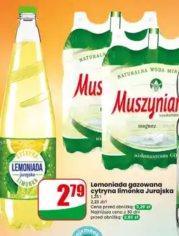 Dino Woda mineralna Muszynianka oferta