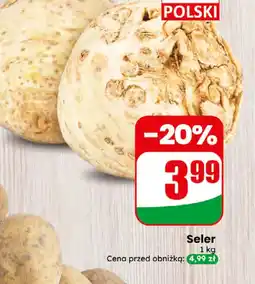 Dino Seler Polski oferta