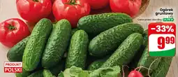 Dino Ogórek Polski oferta