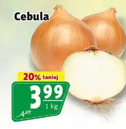Prim Market Cebula oferta