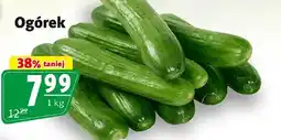 Prim Market Ogórek oferta