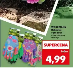 Kaufland Rękawice ogrodowe różne rozmiary i rodzaje oferta