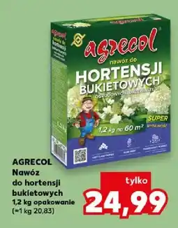 Kaufland Nawóz do hortensji bukietowych oferta