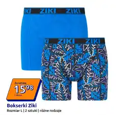 Action Bokserki Ziki oferta