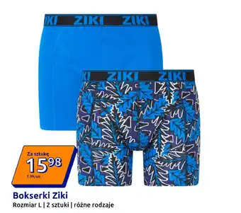 Action Bokserki Ziki oferta