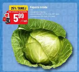 Polomarket Kapusta młoda oferta