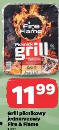 Netto Grill piknikowy jednorazowy oferta