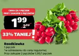 Netto Rzodkiewka oferta