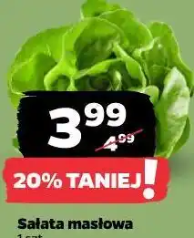 Netto Sałata masłowa oferta