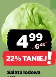 Netto Sałata lodowa oferta