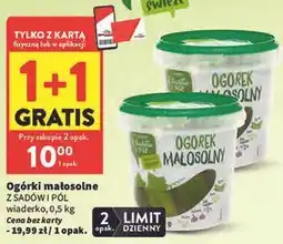Intermarche Ogórki małosolne Z Sadów i Pól wiaderko oferta